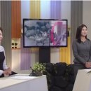 탐나는 보목 이미지