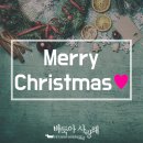 바둑아 사랑해 이미지