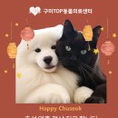 구미TOP동물의료센터 이미지