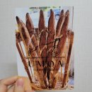 [부천 신중동] 유모아