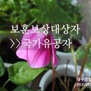 김덕수 행정사사무소 이미지