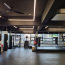 한국체대 복싱 이미지