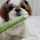 초이스덴탈 | 강아지 바르는 치약 빠삐초이스 반려견 치약 내돈내산 리뷰