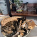 궁촌농장 이미지