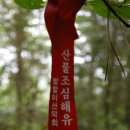 대전둘레산길(7구간) | 준돌가족의 대전둘레산길잇기 - 7구간[거칠메기고개-오봉산]