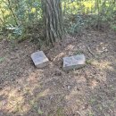 주식회사 충북인뉴스