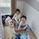태안 펜션 가성비갑 오션뷰 [푸르미르] 1박 찐 후기