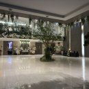 중앙관 2층 로비 화장실 | 더뉴컨벤션웨딩 2층 더뉴홀 로비 후기