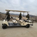 스탠다드 글로벌 (주) | 스탠다드글로벌 골프카 골프카트