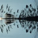 가곡으로 배우는 성악발성법 이미지