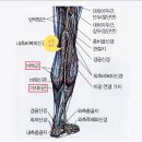 장단지 | 장단지 근육파열 완치 후기