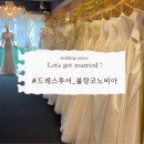 블랑코노비아 | W · 04 드레스투어 - ② 블랑코노비아 드레스 피팅 후기 (계약 O)