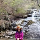 옥계 셀프세차타운 이미지