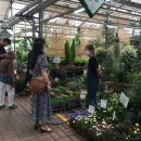 양재시장 이미지