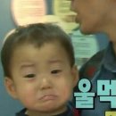 돈돈이 이미지