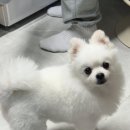 보리사랑