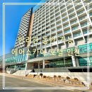 은하수 동물병원 | [영종도 호텔 추천] 에어스카이호텔_반려견과 함께 하는 호캉스 내돈내산