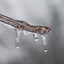 ㈜대기과학 이미지