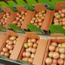 아영농장 이미지