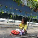 수곡어린이집 이미지