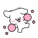 선예Studio 이미지