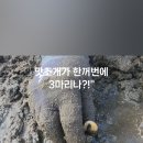 성천길 네이버블로그