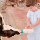 윤미목장 이미지