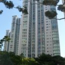 연제구-116 이미지