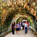 슬로베리 이미지