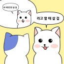 포유당