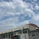 경안로2 | 대구 경북 50m수영장, 경북체육고등학교 자유수영 후기