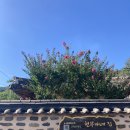 태백산맥거리5 이미지