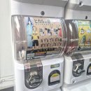 익산하노바커피숍 | [후기] 전주~익산 여행 | <마르크 샤갈> 특별전, 초미당 초밥, 어스언더파크 익산 카페, 국립익산박물관