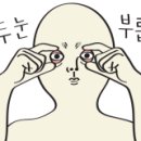 마시레흑돈