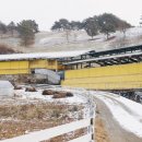 정성목장 이미지