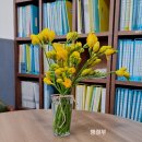 혜민의료재단 이미지