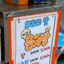 사파동153 이미지