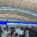 B32 | 인천 - 다낭 파라타항공 WE201 WE202 기내식 온라인체크인 가격 이용후기