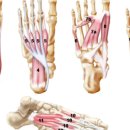 엑서사이언스짐 이미지