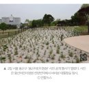 '용산어린이공원'이 감춘 것, 이거 알면 못 간다-4일부터 '임시' 개방... 오염된 공간으로 국민을 초대하는 정부 이미지