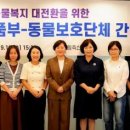 펫필드동물병원
