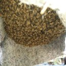 오지농장 이미지