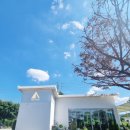 보매기길 | [강원 춘천] 아이랑 가볼만한 강촌카페 베이스캠프ㅣ애견동반 가능한 팥빙수맛집 내돈내산 후기