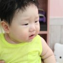 이발나라 이미지