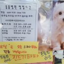 온천동물병원 이미지