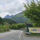 인제천리길 10구간 *은비령길* 가리산방재체험마을마을~옛 군량분교 (26.05.12) 이미지