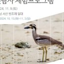 창의과학교실 | 국립중앙과학관 창의과학교실 드디어 성공했다.