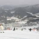 현대한약국 이미지