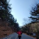 한봉제천 | 상주 성주봉 친구들과 암벽타고 신바람들 나셨네