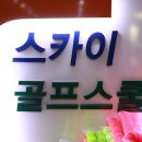 스카이골프스쿨 네이버블로그